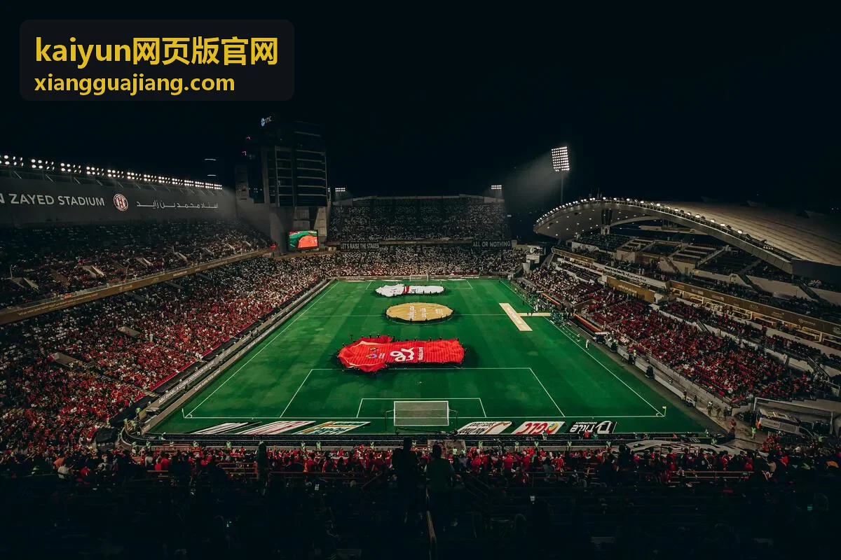 kaiyun网页版官网功能操作界面示意