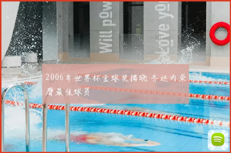 2006年世界杯金球奖揭晓 齐达内荣膺最佳球员