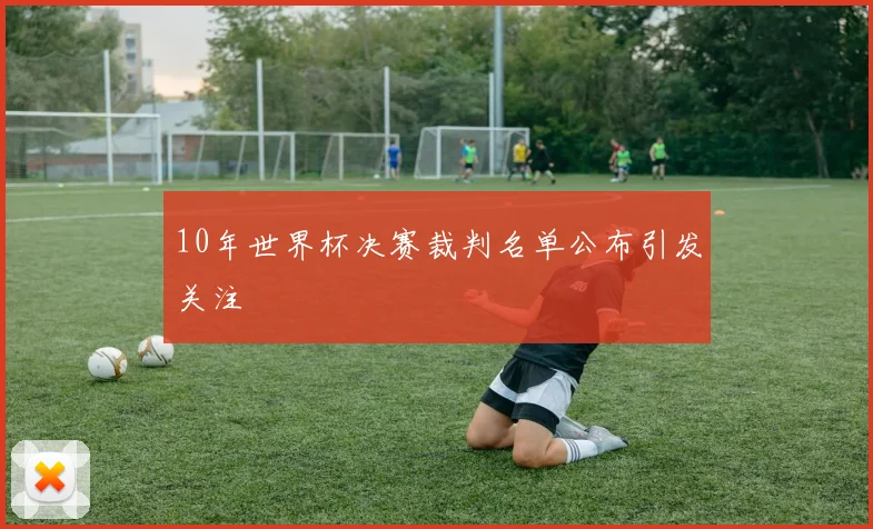 10年世界杯决赛裁判名单公布引发关注