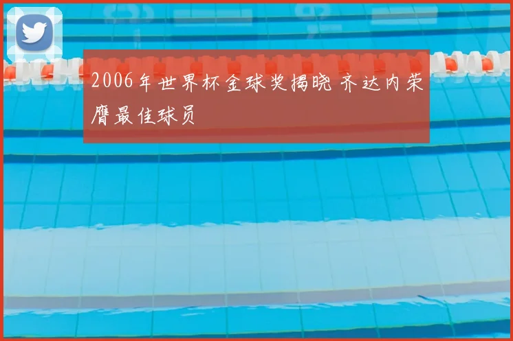 2006年世界杯金球奖揭晓 齐达内荣膺最佳球员