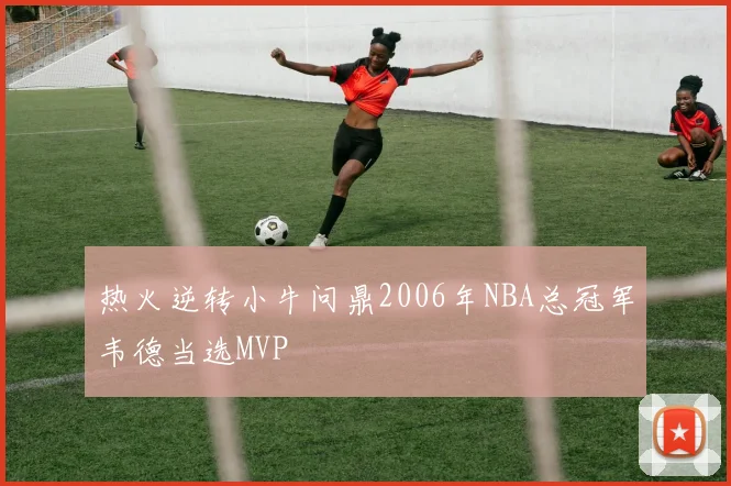 热火逆转小牛问鼎2006年NBA总冠军韦德当选MVP