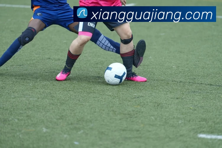 尊龙人生就是 首页服务体系